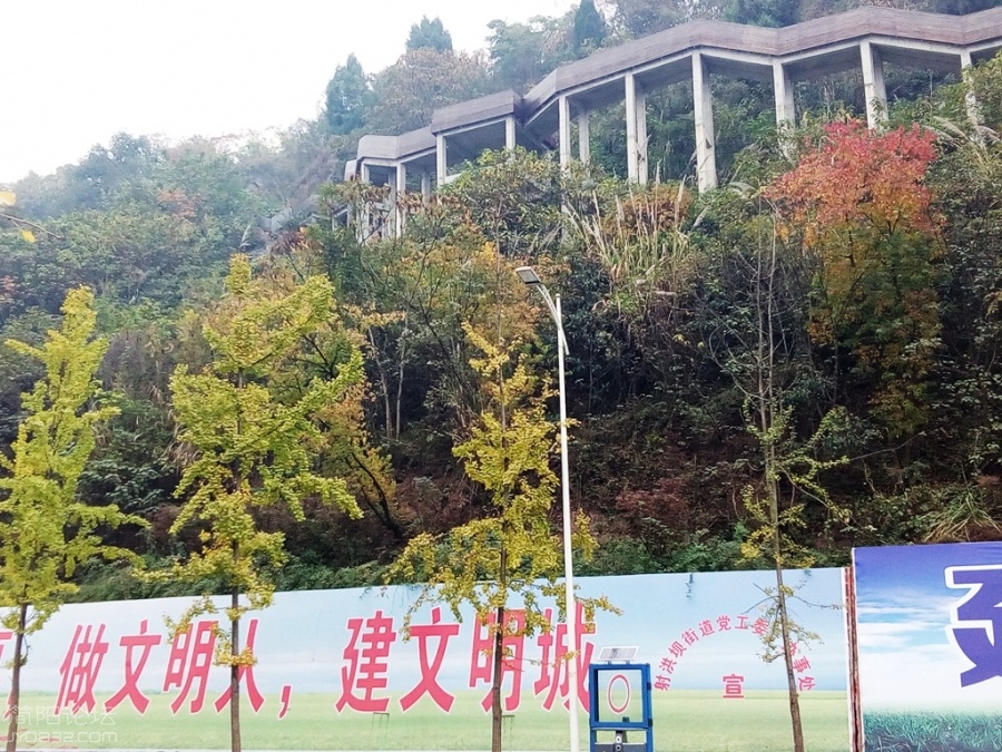 IMG_20161128_091732_200_副本.jpg