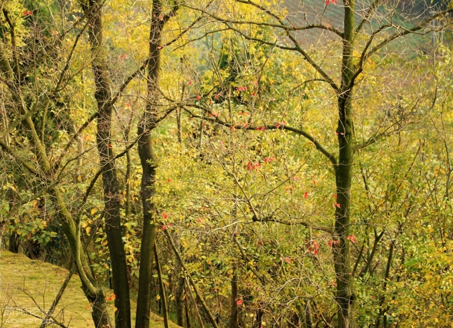 鳌山照片 037.jpg