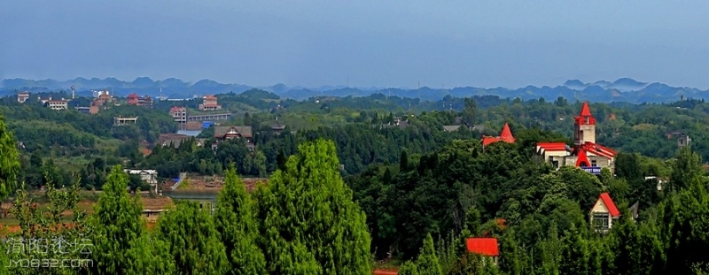 118.jpg