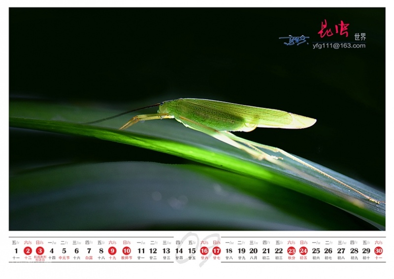 台历150本-10.jpg