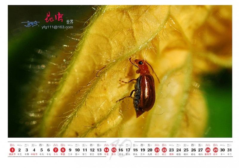 台历150本-11.jpg