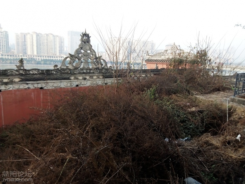 IMG_20170113_094552_602_副本.jpg