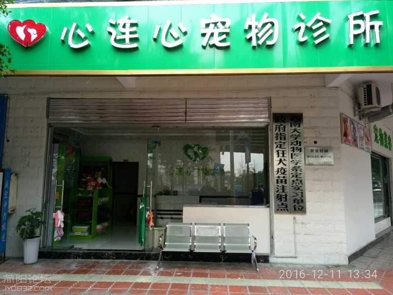 44GWcnLjkDn7.jpg