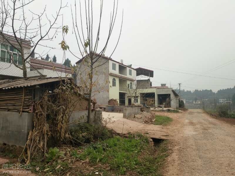 土路