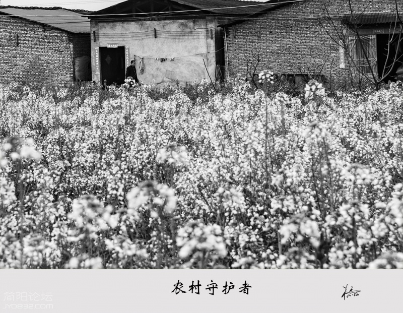 _DSC5077-恢复的.jpg