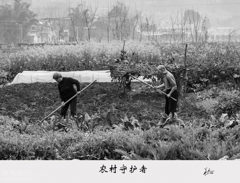 _DSC5080-恢复的.jpg