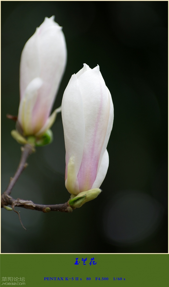 IMGP3778_副本.jpg
