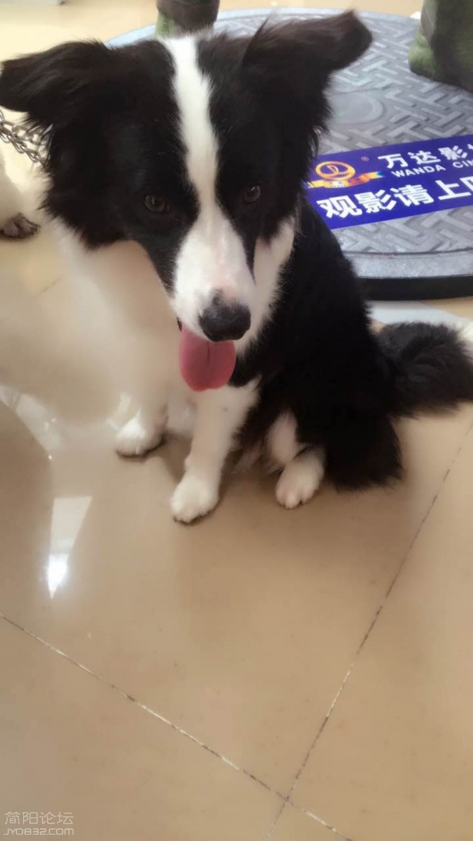 微信图片_20170715161343.jpg