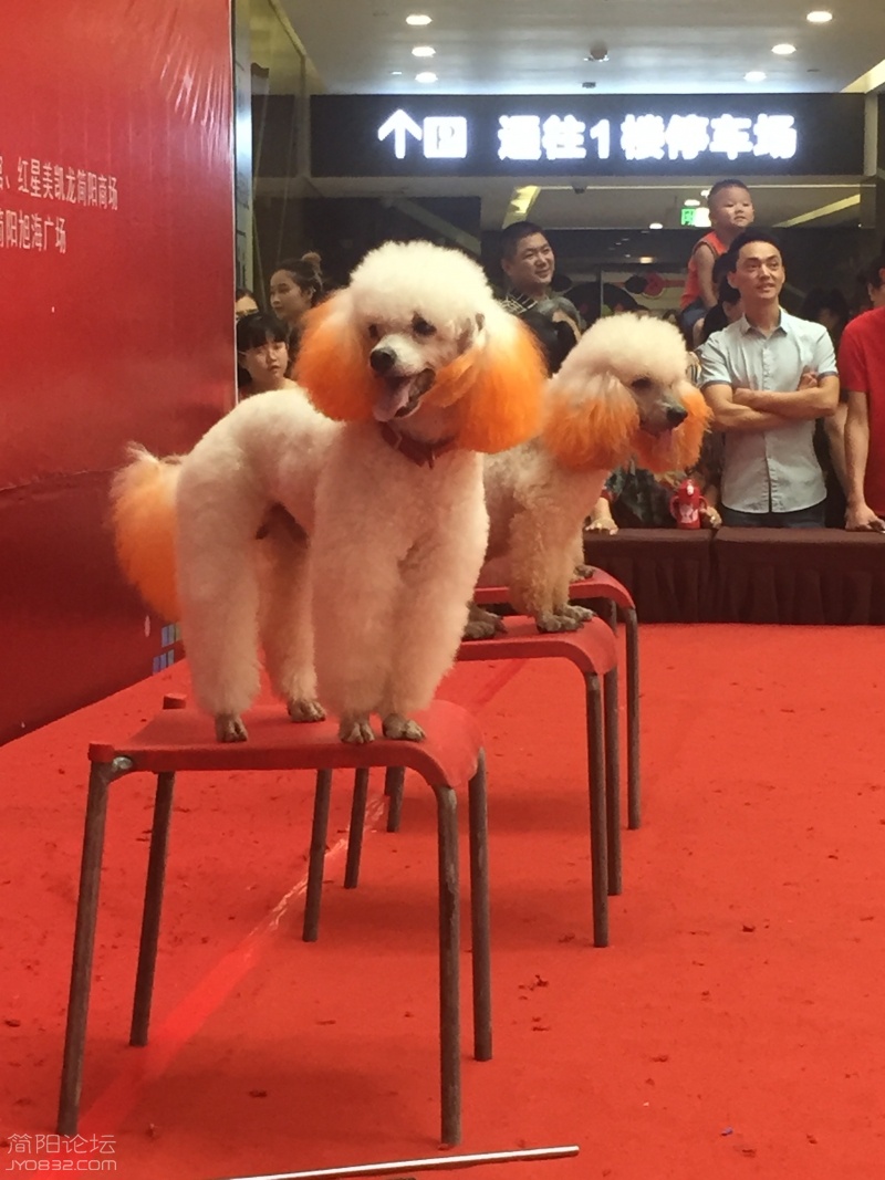微信图片_20170715161409.jpg