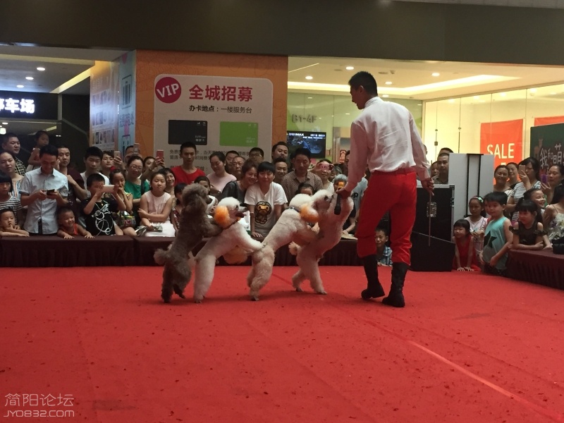 微信图片_20170715161414.jpg
