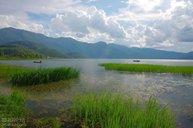 IMGP5479_副本.jpg