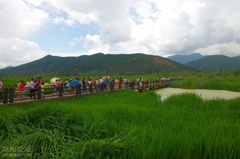 IMGP5662_副本.jpg