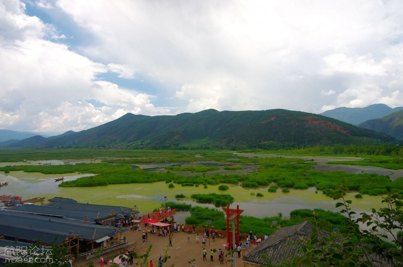 IMGP5677_副本.jpg