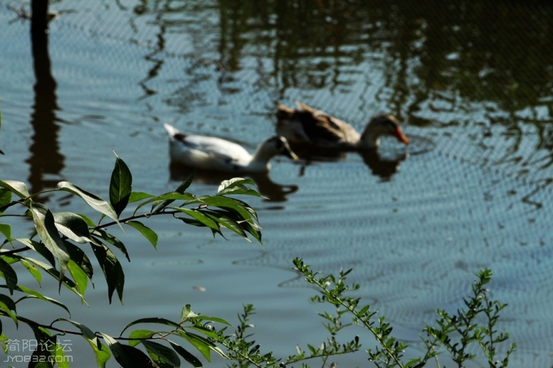 IMG_5143.jpg