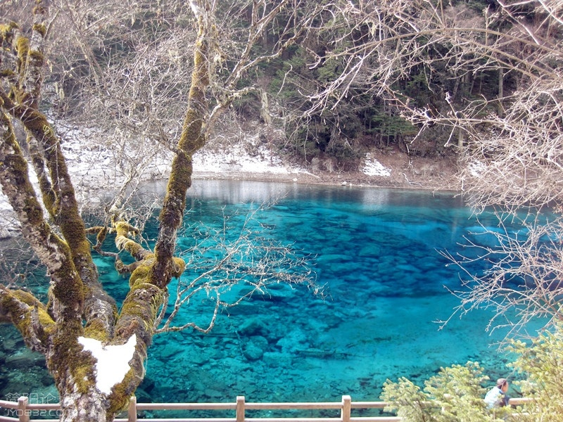 IMG_2376_副本.jpg