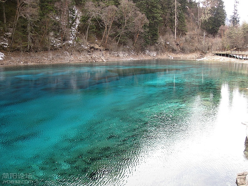 IMG_2382_副本.jpg
