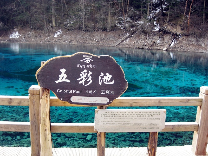 IMG_2388_副本.jpg