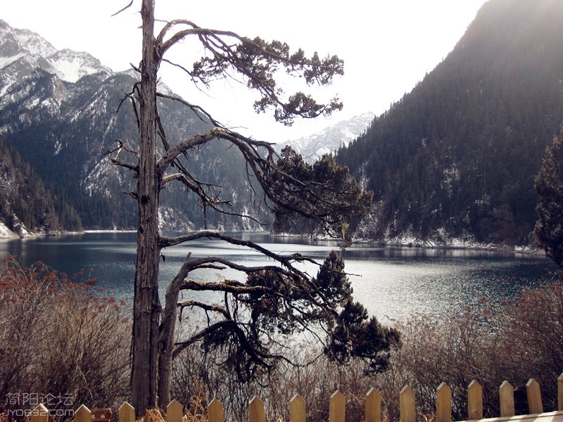 IMG_2364_副本.jpg