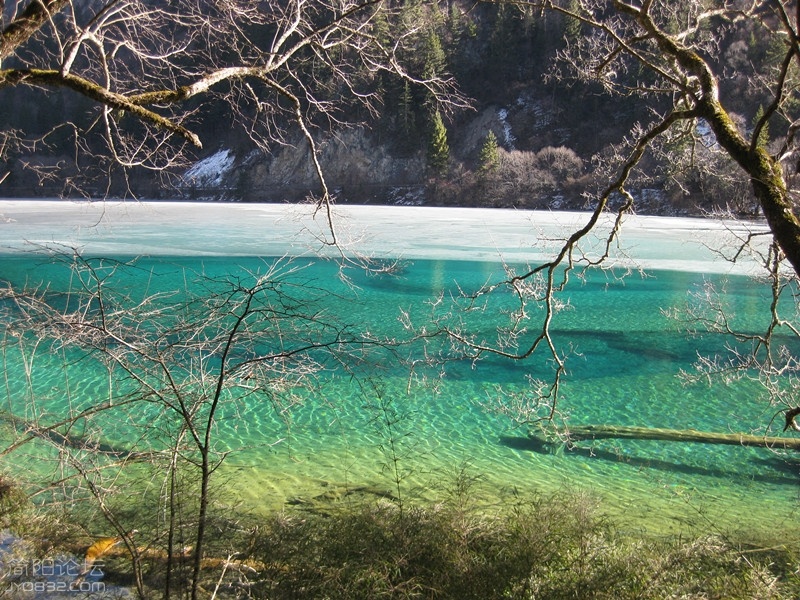 IMG_2167_副本.jpg