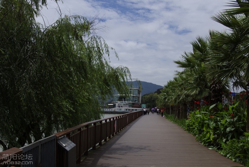彩云之南 (11).jpg