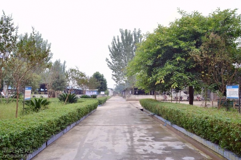 05.jpg