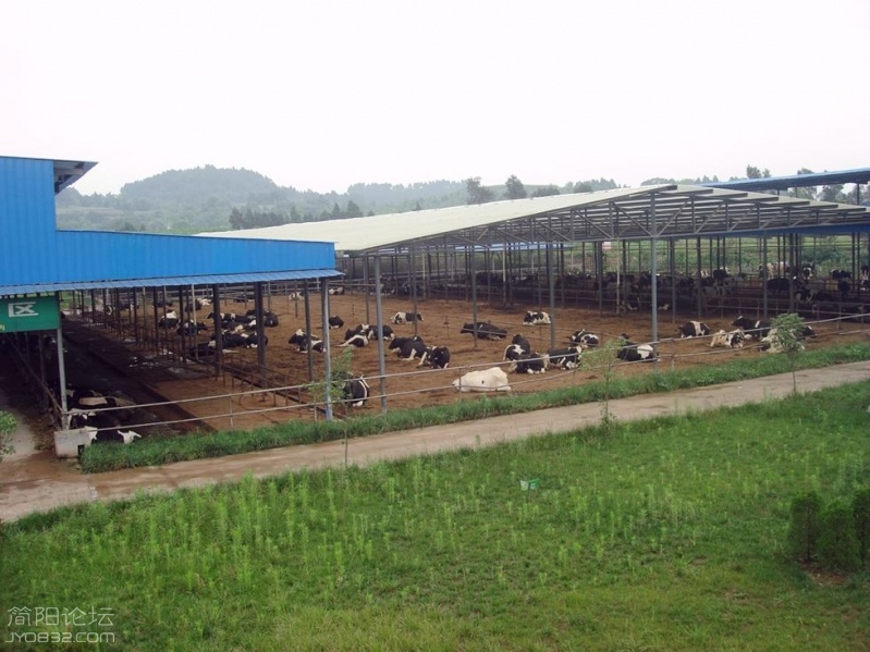 04.jpg