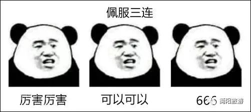 03.jpg