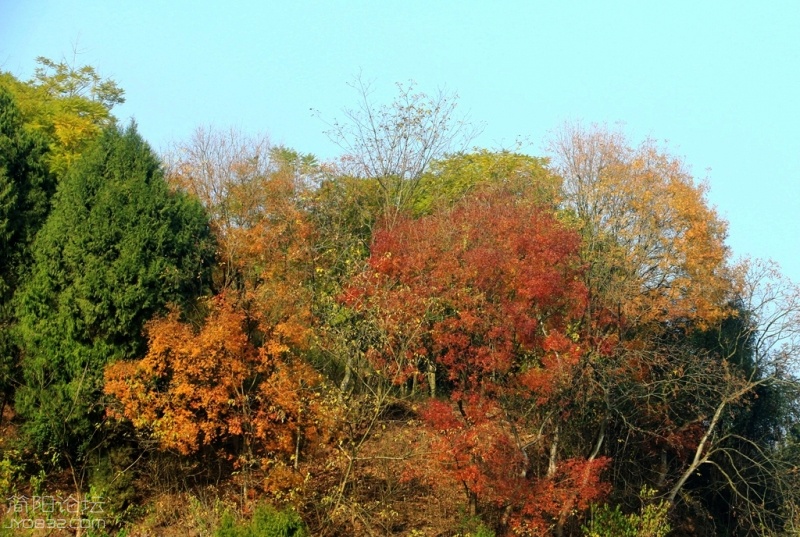 IMG_9122.jpg