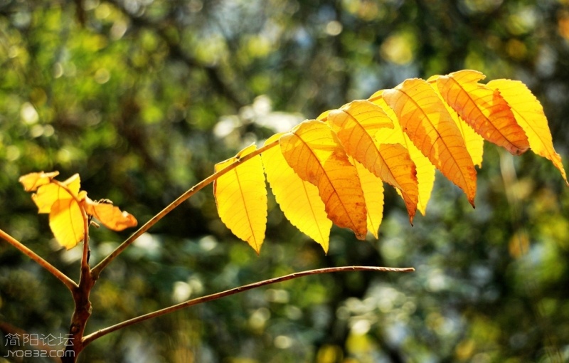 IMG_9135.jpg