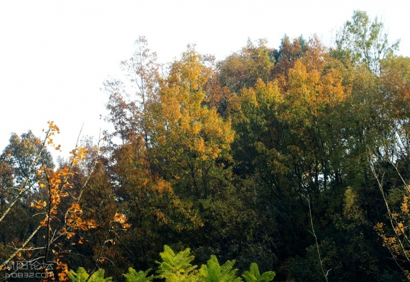 IMG_9156.jpg