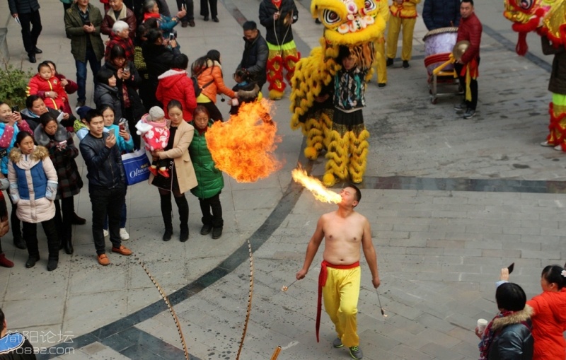 IMG_9541.jpg