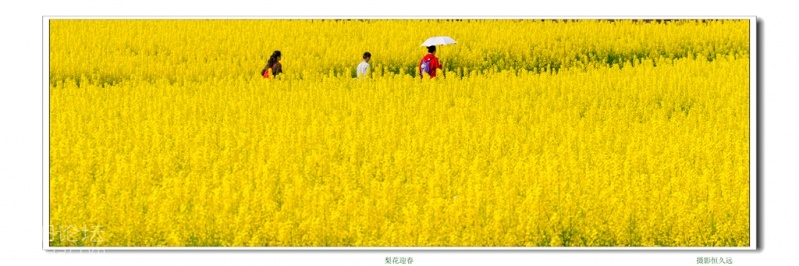 迎春05.jpg