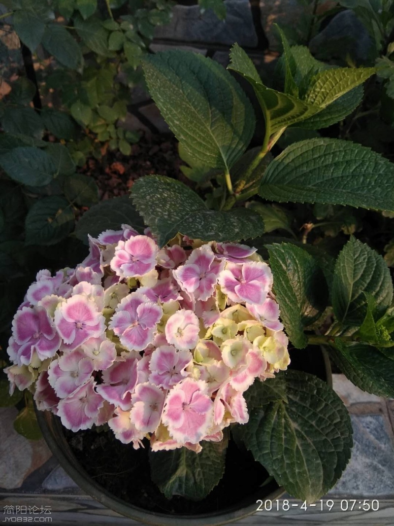 微信图片_20180419194504.jpg