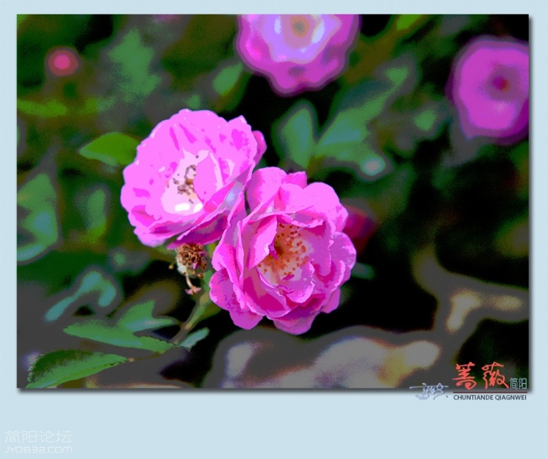 蔷薇——03.jpg