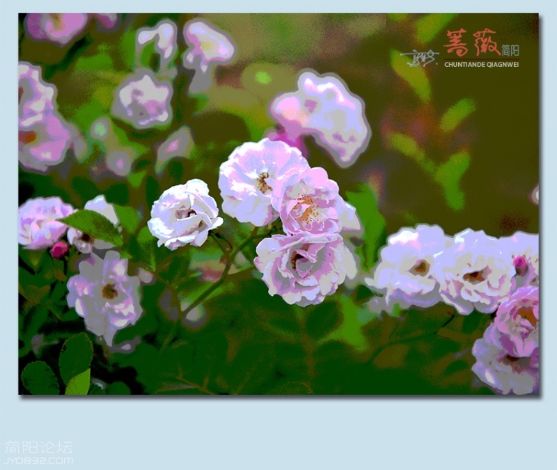 蔷薇——27.jpg