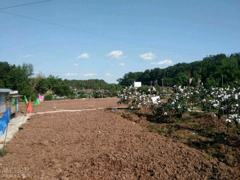 K7HadoACPObp.jpg