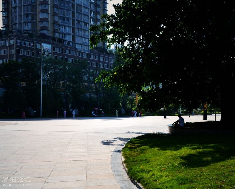 DSC_5985.jpg