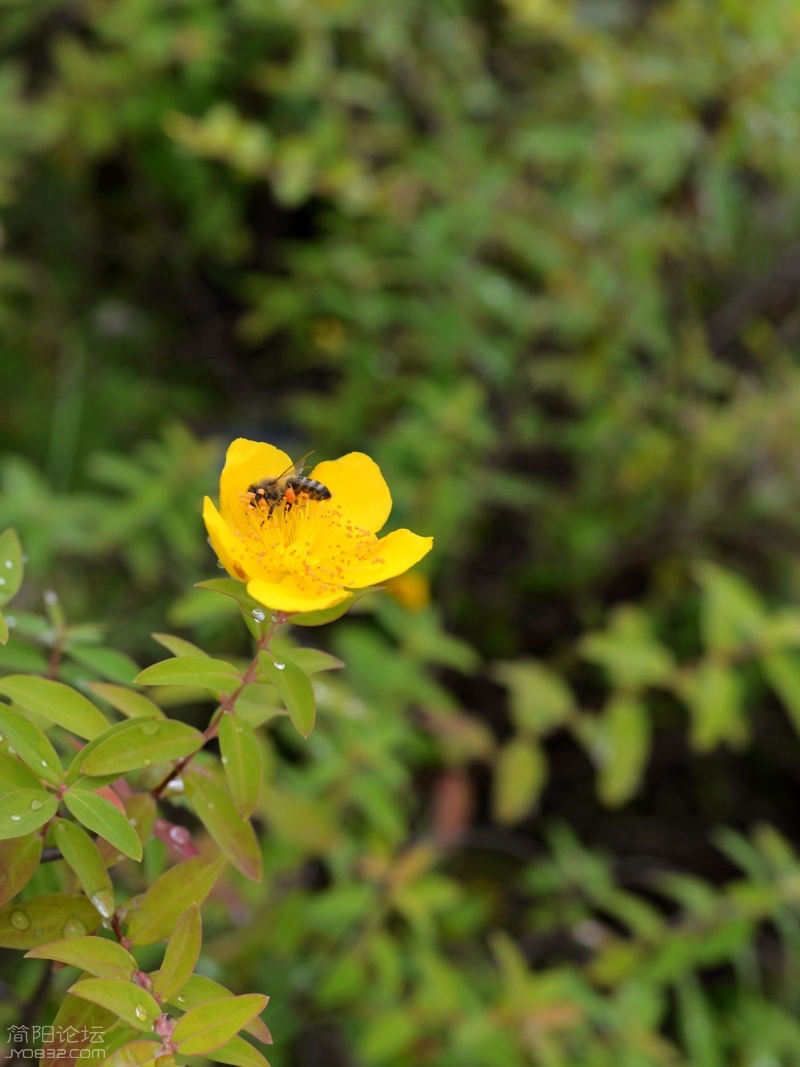 DSC_6117.jpg