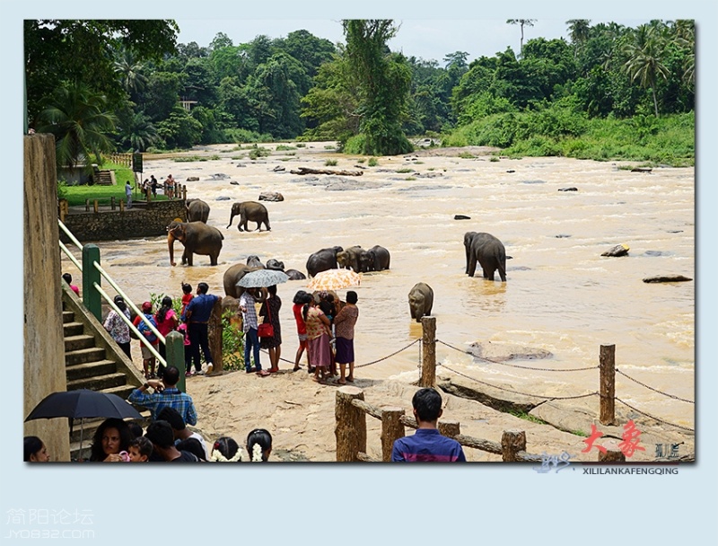 大象孤儿院——07.jpg