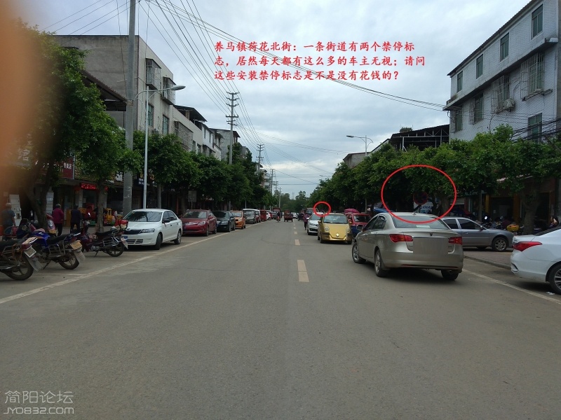 安放禁停标示是不是没有用钱的，还是自己从土里自己长出来的？