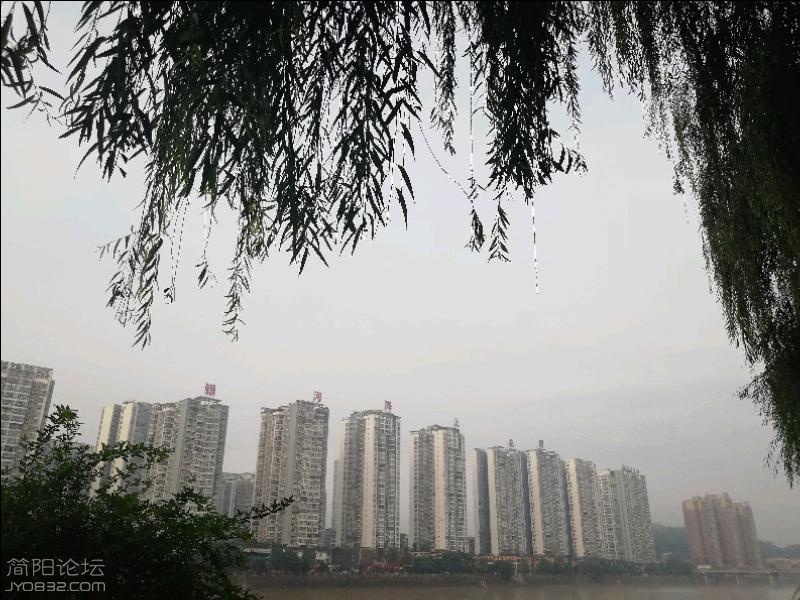 IMG_20180718_073148.jpeg