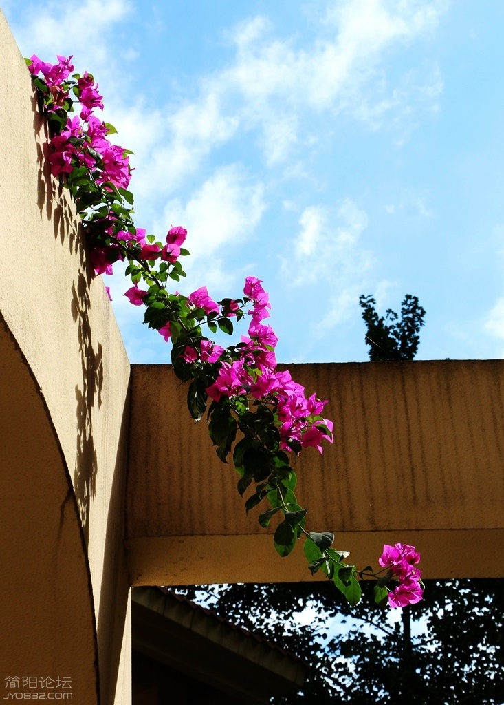 IMG_2616.jpg