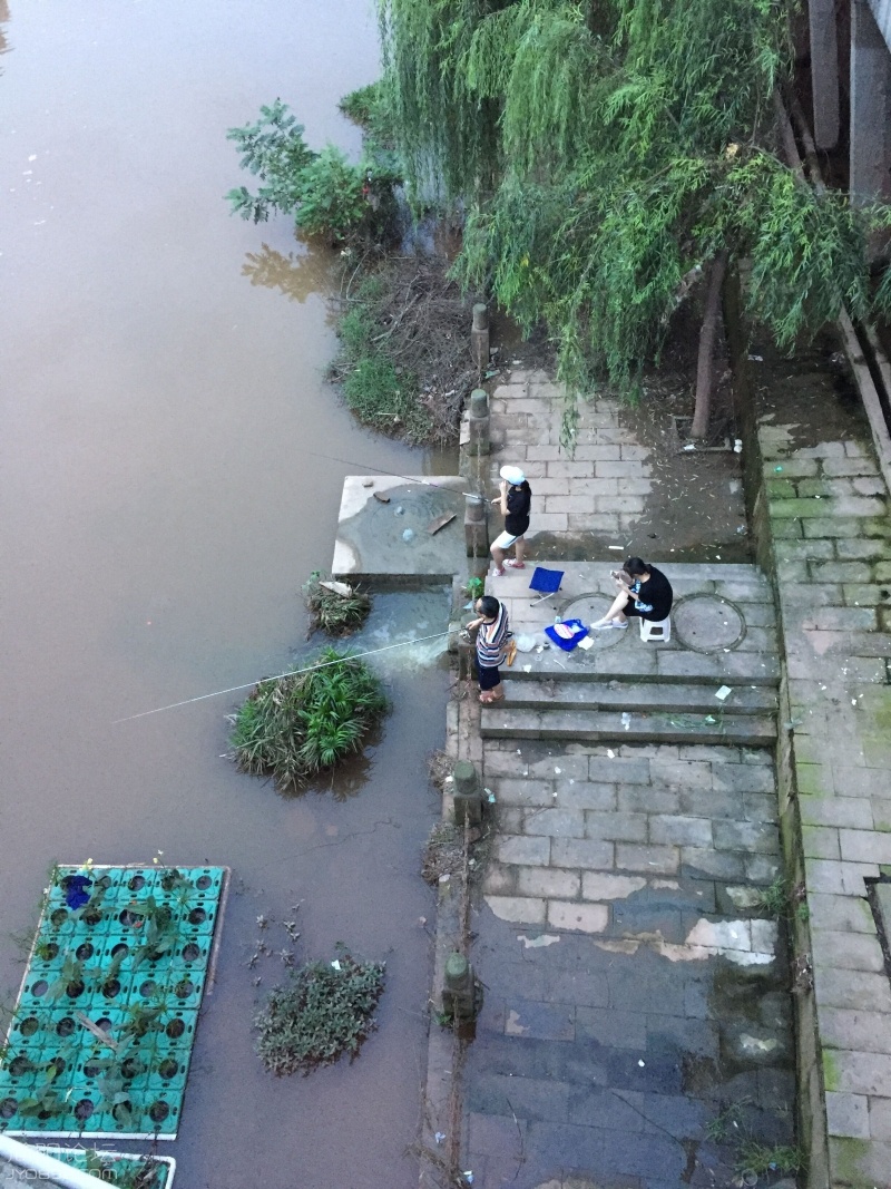 污水入绛溪河？
