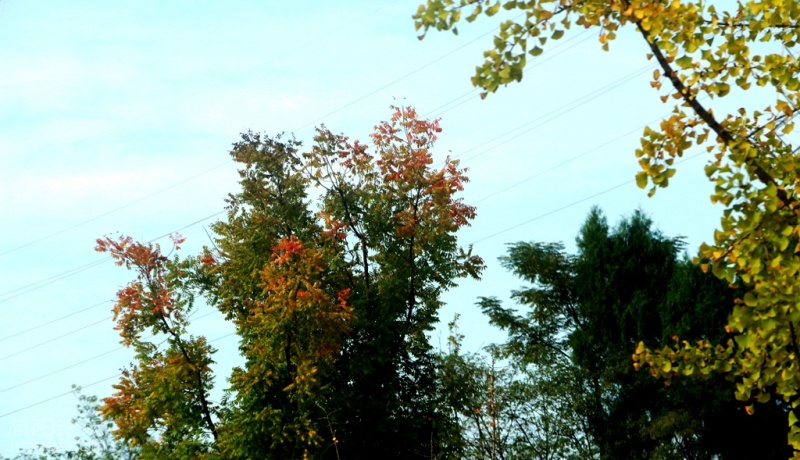 IMG_7001.jpg