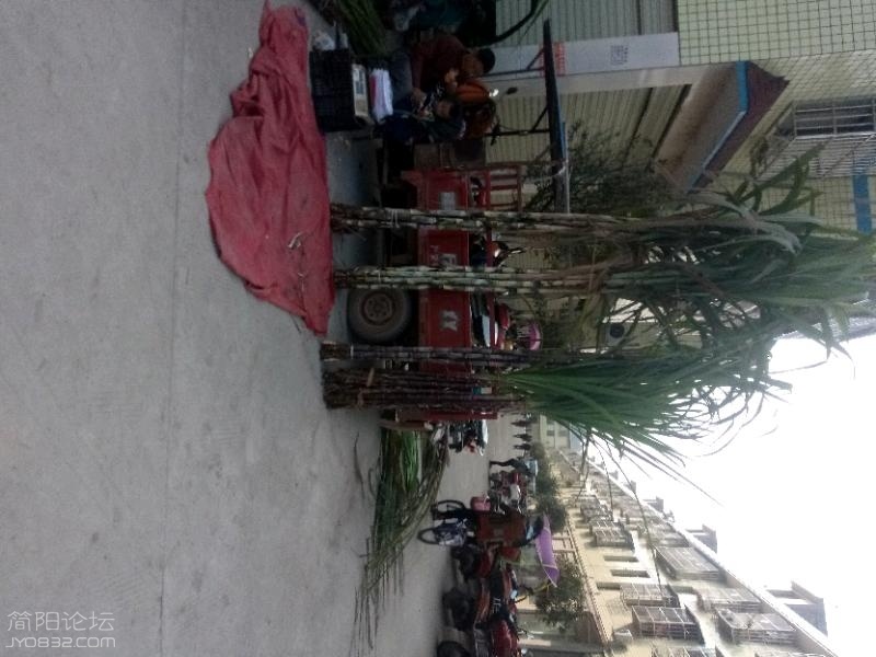 IMG_20181102_102704.jpeg