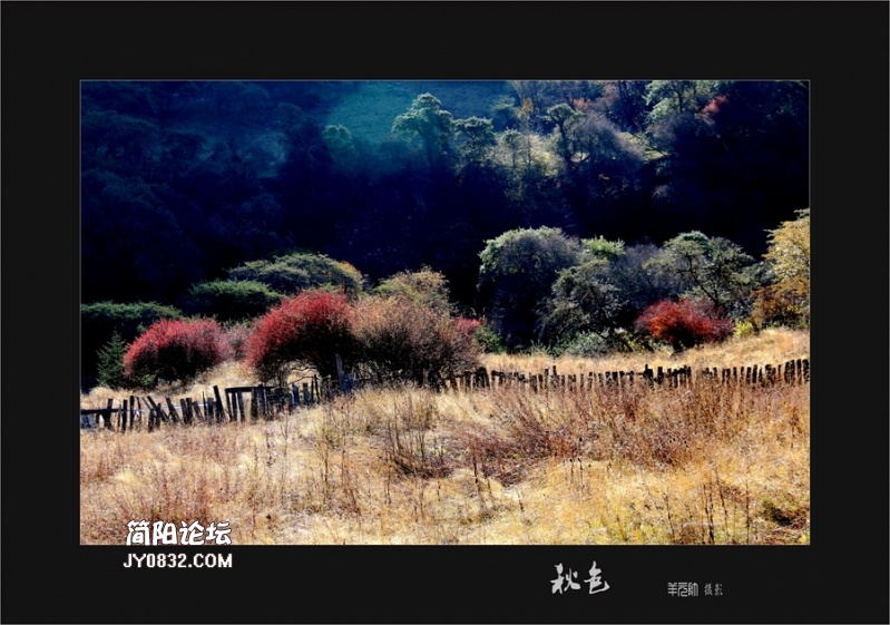 IMG_7411_副本a.jpg