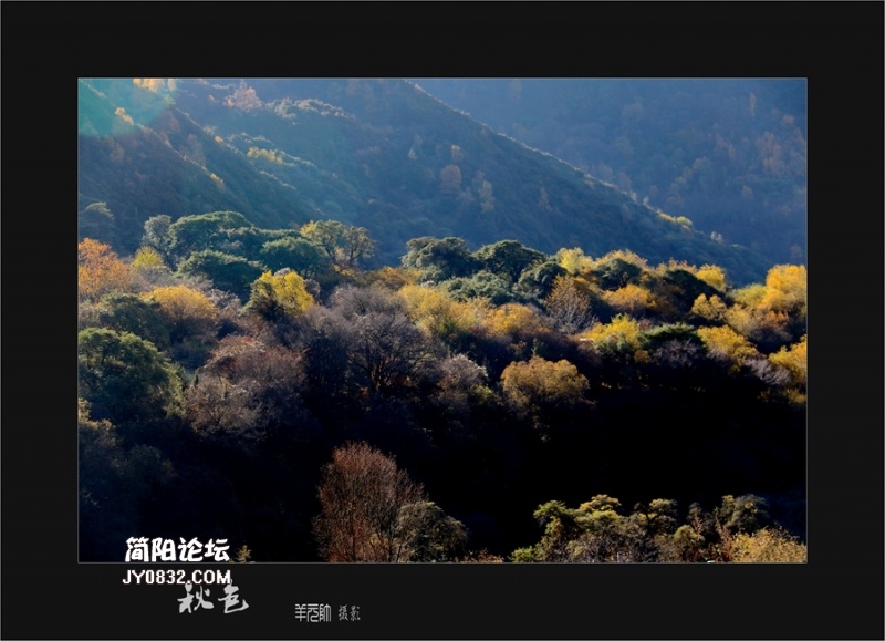 IMG_7401_副本a.jpg