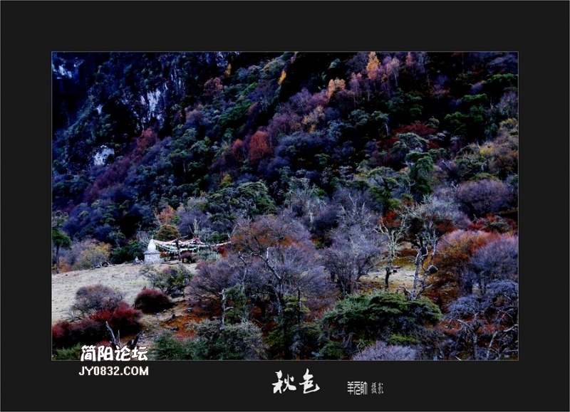 IMG_7342_副本a.jpg
