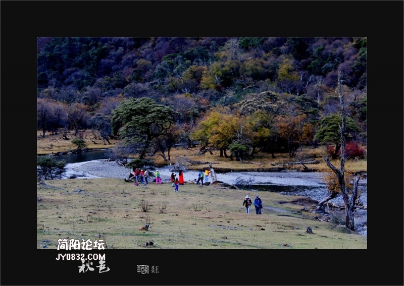 IMG_7995_副本a.jpg