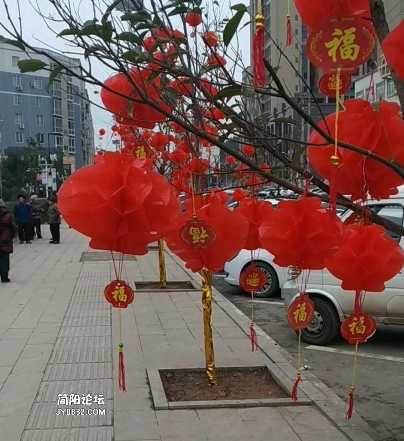 IMG_20190122_115058.jpeg
